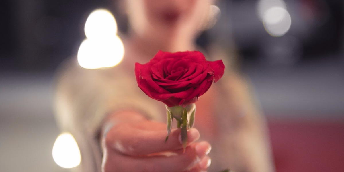  Bahasa  Bunga  Mawar  Merah Simbol Kasih Sayang Sang Dewi 
